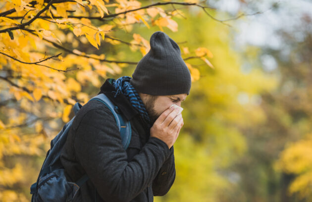 fall seasonal allergies